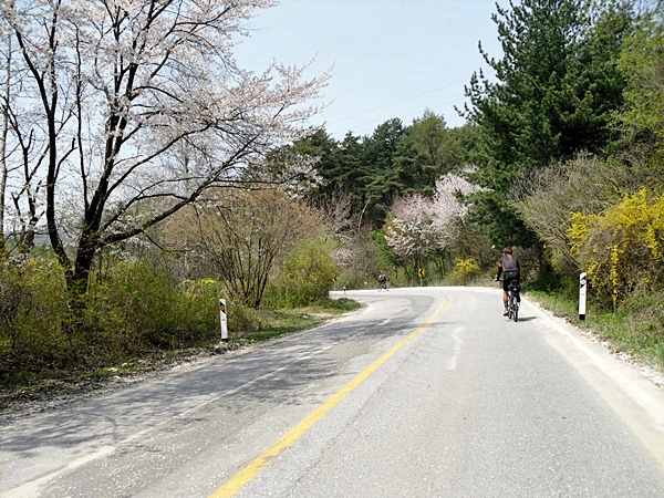 a0109537_4bdfcfb07815d.jpg?type=w966