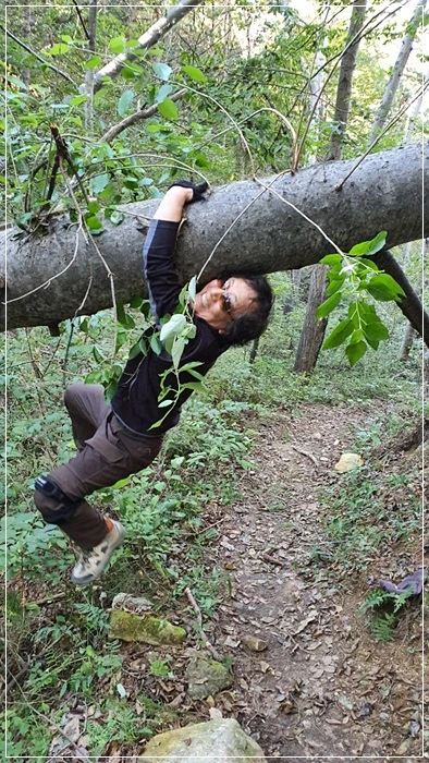 a0109537_5da9cae84c04b.jpg?type=w966