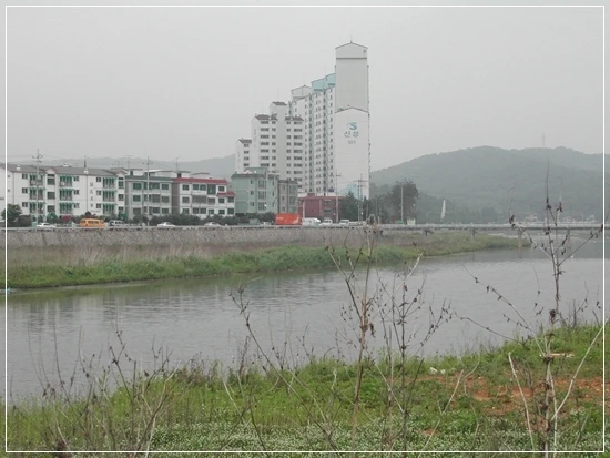 a0109537_49879430c269b.jpg?type=w966