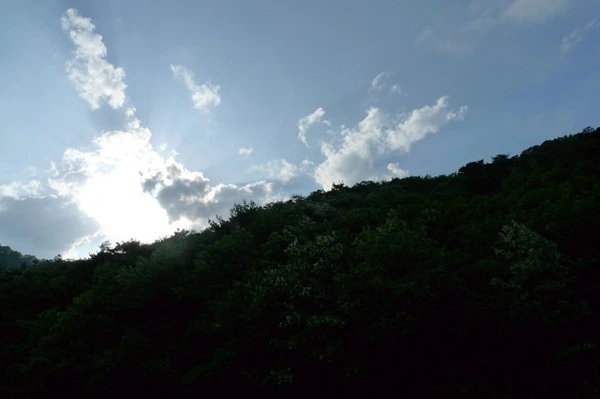 a0109537_4a2514fa5f624.jpg?type=w966