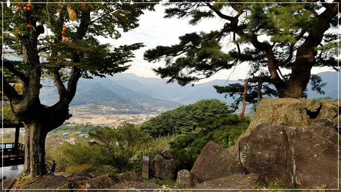 a0109537_5a01b0c3a03b4.jpg?type=w966