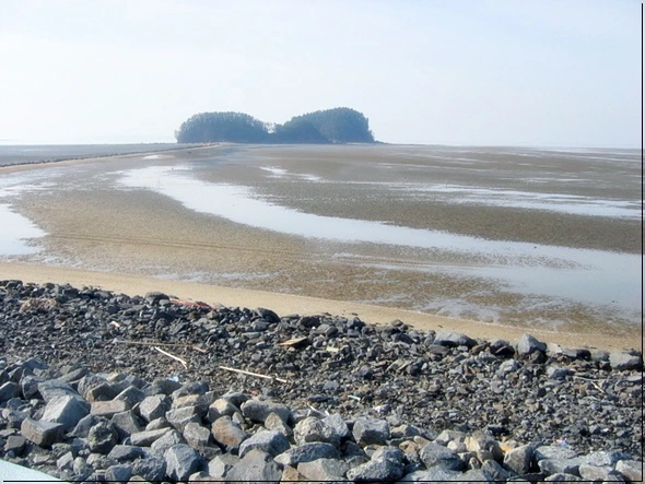 a0109537_49aa85fb16dc8.jpg?type=w966