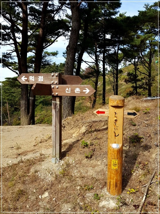 a0109537_5a01ae4f6edb5.jpg?type=w966