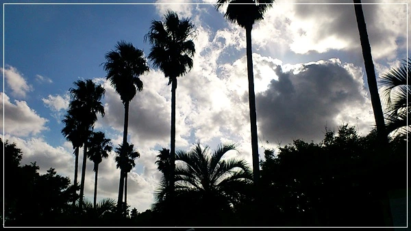 a0109537_525e3f85a1f91.jpg?type=w966