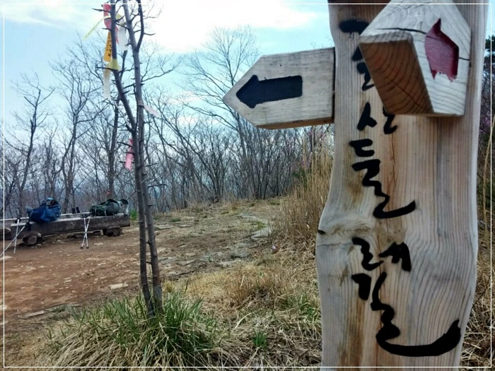 a0109537_58f6116e4ee1d.jpeg?type=w966