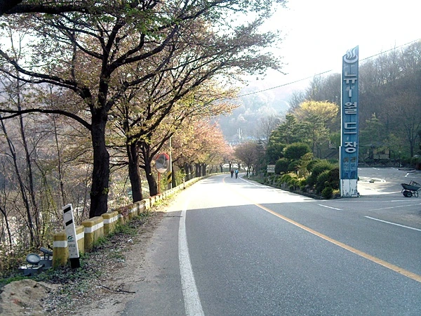 a0109537_4bdfd057674fe.jpg?type=w966