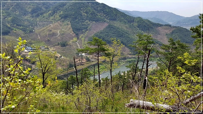 a0109537_5ad5f551bcf88.jpg?type=w966