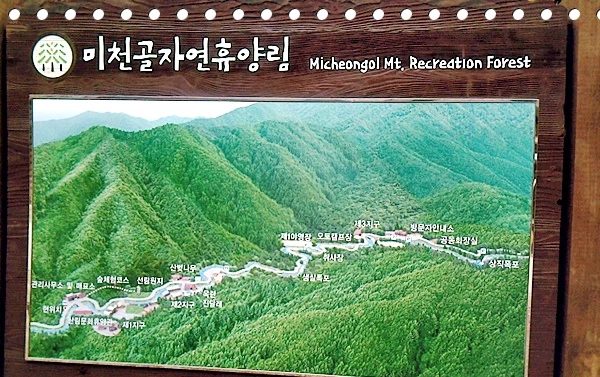 a0109537_4ae67d41c16ea.jpg?type=w966