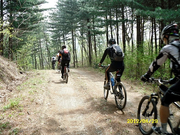 a0109537_4f9e3429a8932.jpg?type=w966