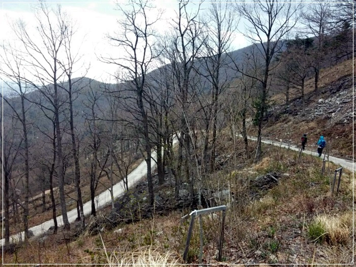 a0109537_58f6122d3f5f1.jpeg?type=w966