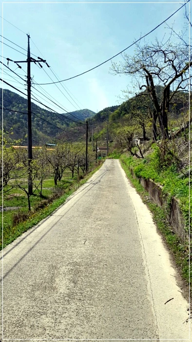 a0109537_58f75ae3523cf.jpeg?type=w966