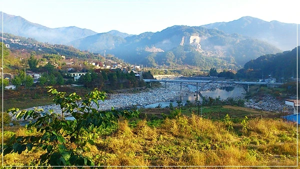 a0109537_526e671a4e610.jpg?type=w966