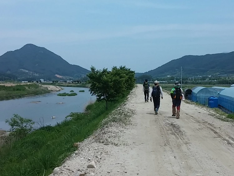 a0109537_574af5222300f.jpg?type=w966