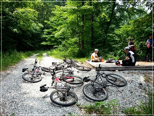 a0109537_51c7d6e975adf.jpg?type=w966