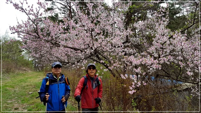 a0109537_58f610c11262e.jpeg?type=w966