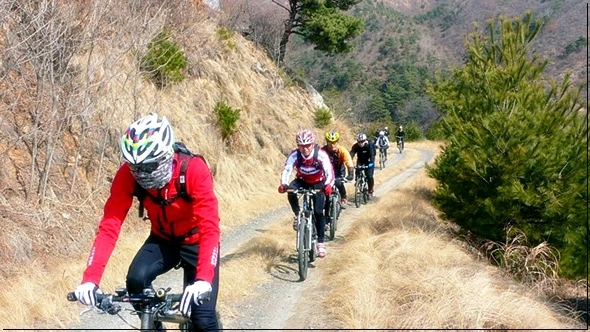 a0109537_49aa865395098.jpg?type=w966