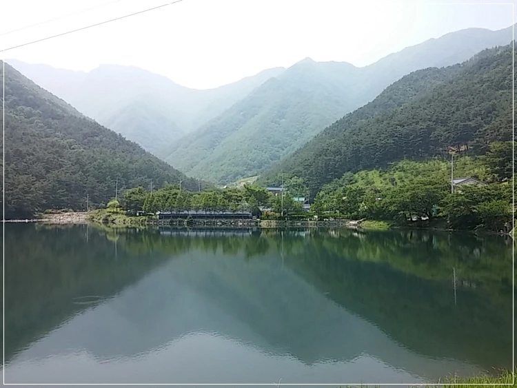 a0109537_574afe473f395.jpg?type=w966