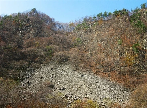 a0109537_49879418c30b9.jpg?type=w966