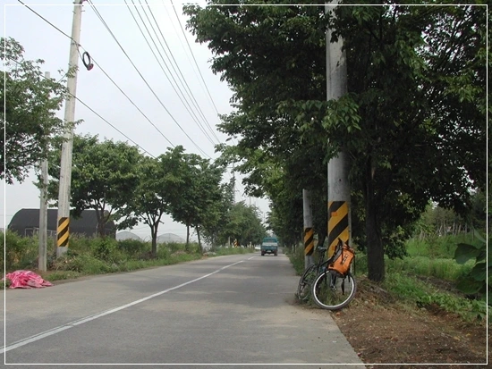 a0109537_4987942fbad77.jpg?type=w966