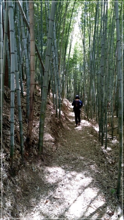 a0109537_58f75c0d554ef.jpeg?type=w966