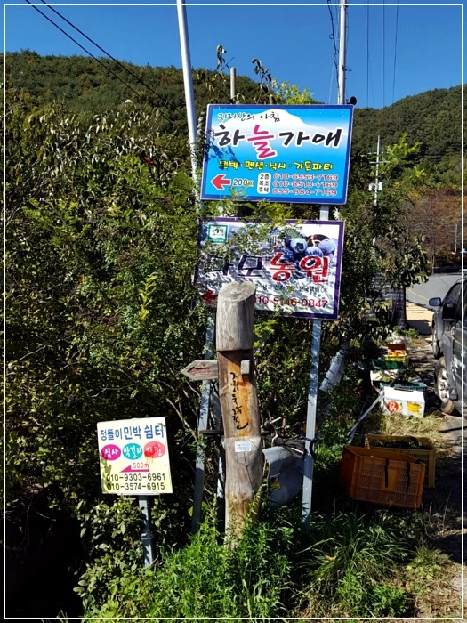 a0109537_5a001dd920484.jpg?type=w966