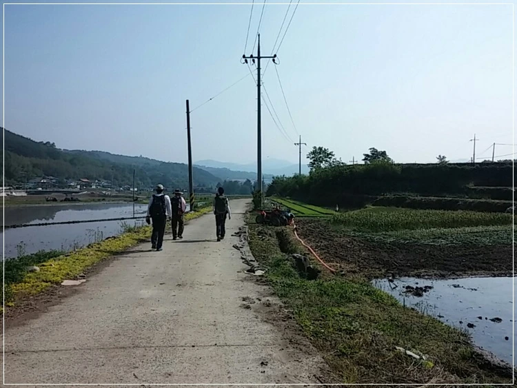 a0109537_574afd03d3490.jpeg?type=w966