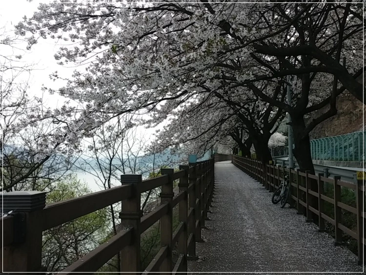 a0109537_570fa257472df.jpg?type=w966