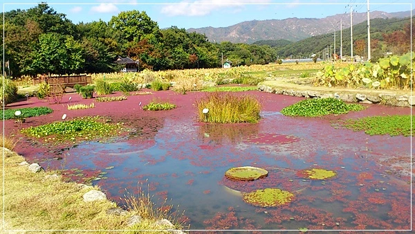 a0109537_526f1a8880862.jpg?type=w966