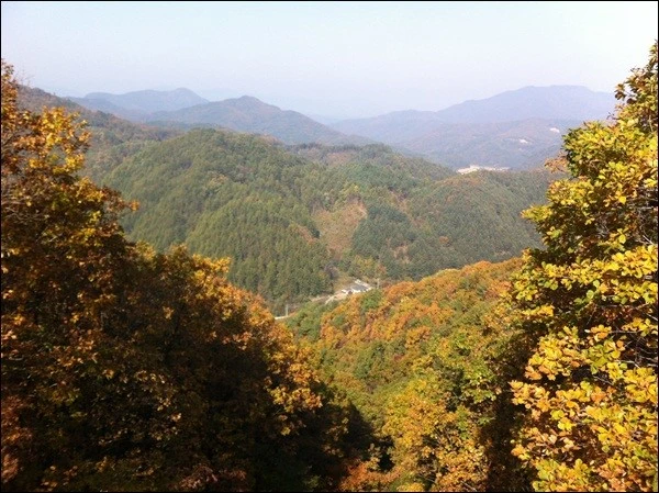 a0109537_5084e15b8b0ce.jpg?type=w966