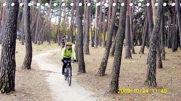 a0109537_4ae67c7635b6d.jpg?type=w966