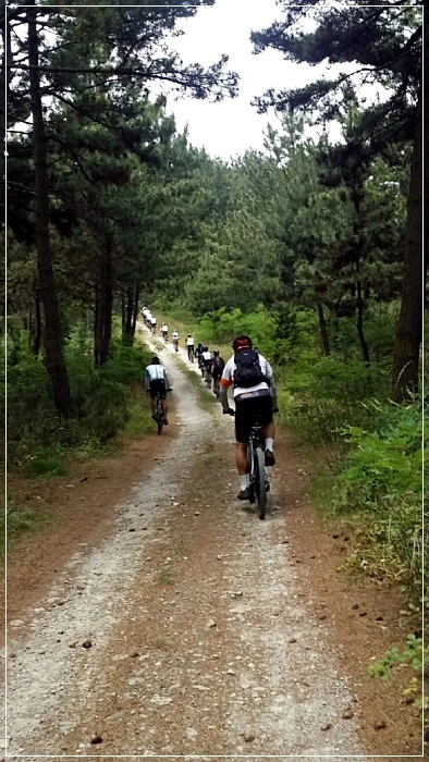 a0109537_595113d357437.jpg?type=w966