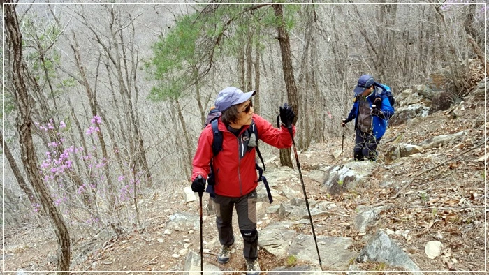 a0109537_58f61116a2c24.jpeg?type=w966