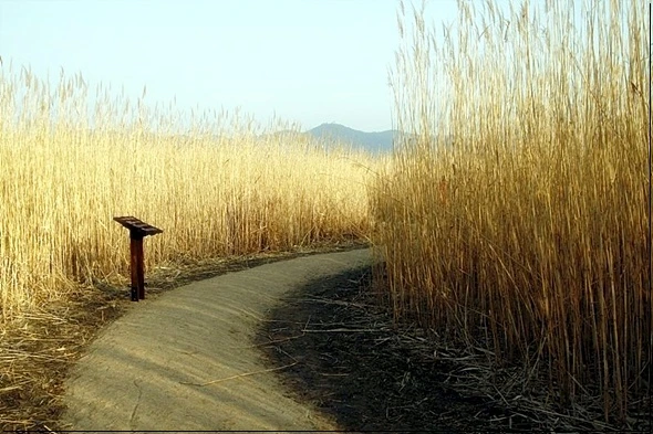 a0109537_49ad21ae89c08.jpg?type=w966