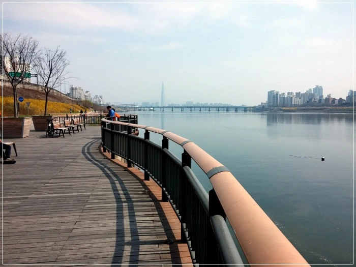 a0109537_58e89c2b96c0f.jpg?type=w966