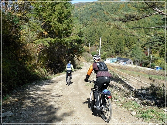 a0109537_4add341ecf6bb.jpg?type=w966