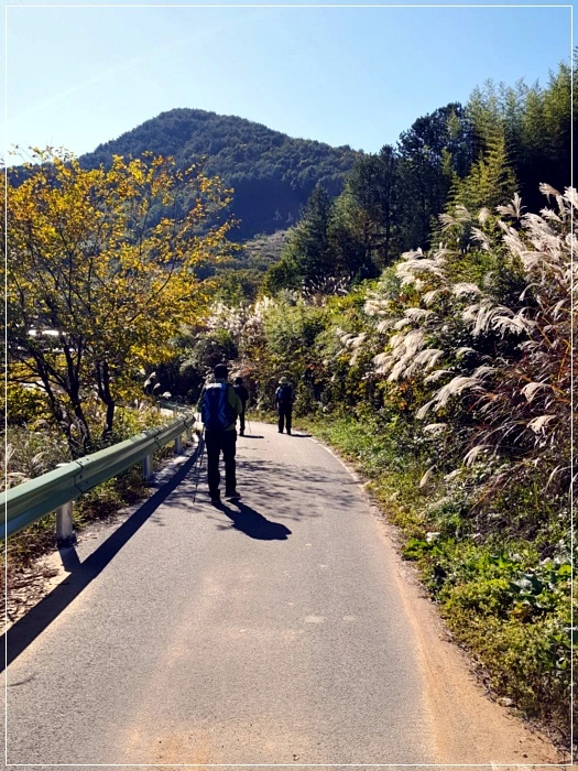 a0109537_5a01a7ed93e6d.jpg?type=w966