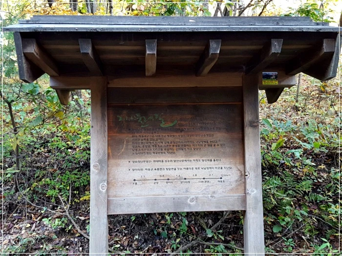 a0109537_5a01a8bd0328c.jpg?type=w966