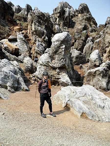 a0109537_4bdfcf4fd2906.jpg?type=w966