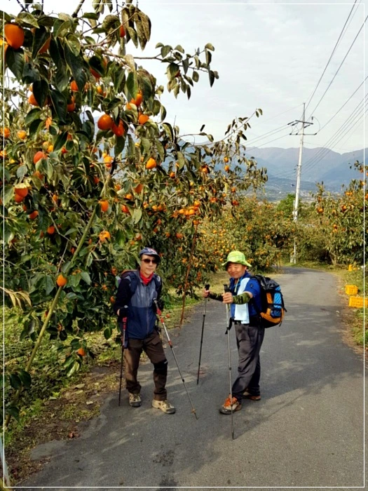 a0109537_5a01b121059b7.jpg?type=w966