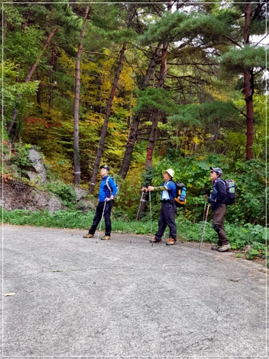 a0109537_5a01ae18a0581.jpg?type=w966