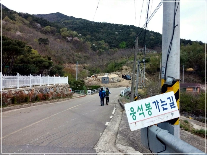 a0109537_58f6103a786e2.jpeg?type=w966