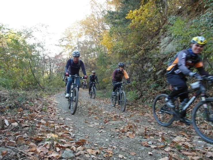 a0109537_5083f29b7b422.jpg?type=w966