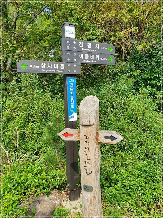 a0109537_5da87627396f0.jpg?type=w966