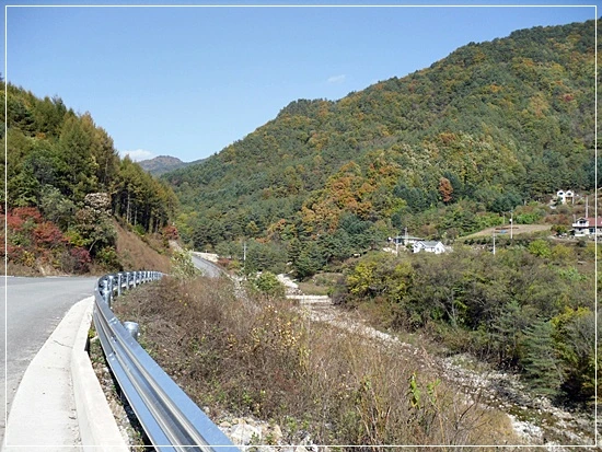 a0109537_4add3440e8795.jpg?type=w966