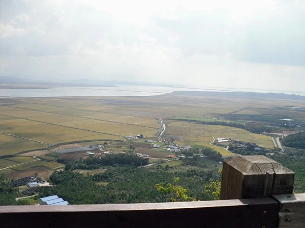 a0109537_4cb1c85fae7f1.jpg?type=w966