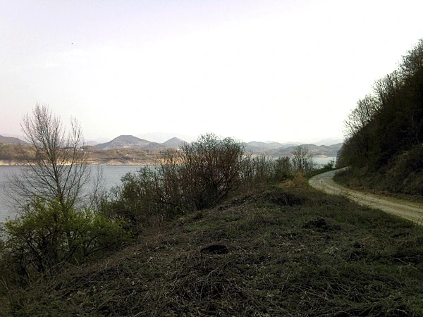 a0109537_4bde4c4601dd4.jpg?type=w966