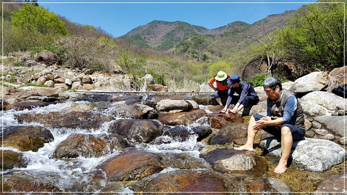 a0109537_5ad5f21eedc86.jpg?type=w966