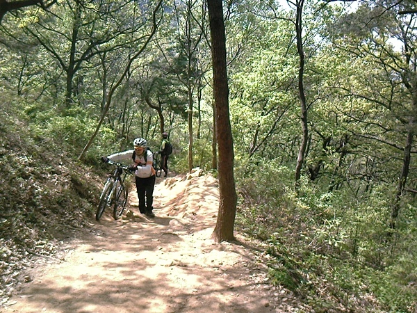 a0109537_4dc7da8307d20.jpg?type=w966