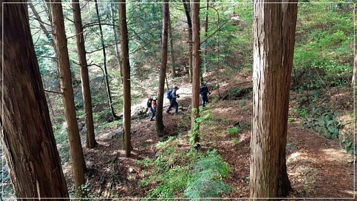 a0109537_5ad493a183a8c.jpg?type=w966