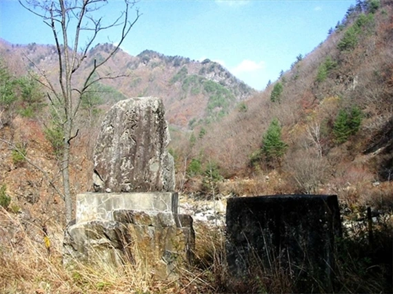 a0109537_49879418da788.jpg?type=w966